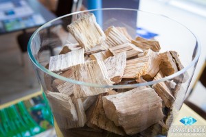 Zdjecia-z-IV-forum-Biomass-&-Waste-Best-Western-Premier