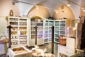 Sesja reklamowa sklepu