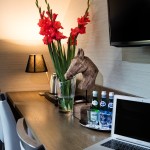 Zdjęcia reklamowe. Na zdjęciu biurko z laptopem, wodą, rzezbą konia, kwiatami w wazonie.