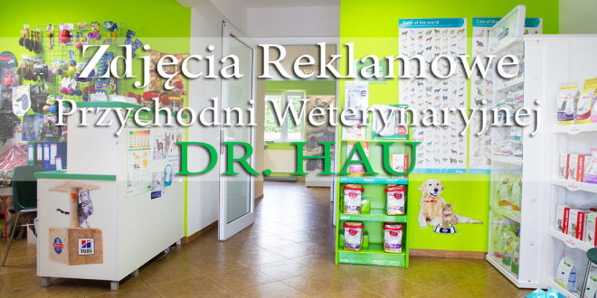 Zdjęcia reklamowe przychodnie weterynaryjne Kraków