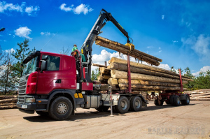 Rozładunek drzewa w tartaku Jabłonka