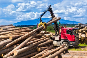 skład drewna-zdjęcia reklamowe