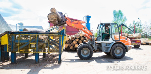 Złądunek drzewa na linię do tartaku. Kartex